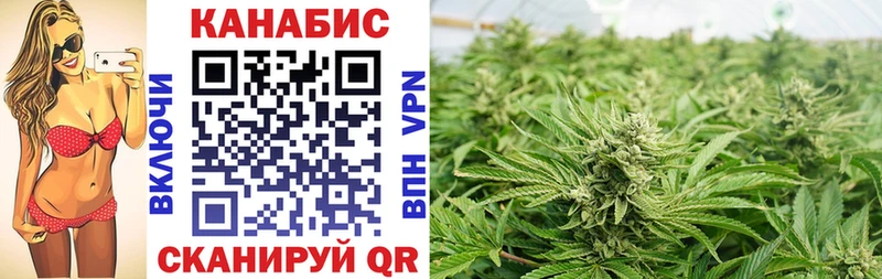 OMG ONION  наркошоп  Первомайск  Каннабис SATIVA & INDICA 